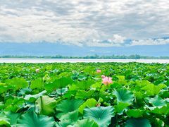 -西昌邛海湿地