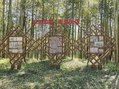 -黄海国家森林公园