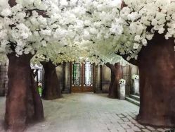 -帆拉斐婚纱摄影(春熙店)