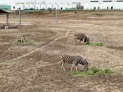 -新疆天山野生动物园