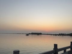 -焦岗湖旅游度假区
