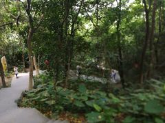 -云溪植物园