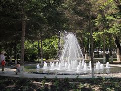-黑龙江中医药大学