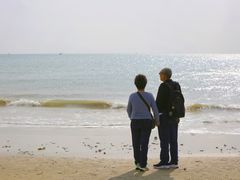 -东郊椰林