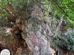 -抚仙湖禄充风景区