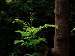 -观澜湖生态运动公社