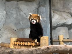 -Zoolung Zoolung动物主题公园(海信广场店)