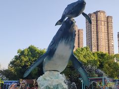 -海合安武汉极地海洋公园