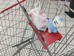 -大润发(康桥店)