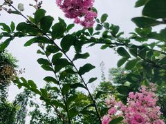 -成飞公园