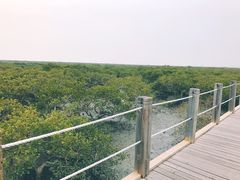 -北海金海湾红树林生态旅游区