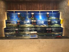 水产区-马路边上·小海鲜烧烤(八一路店)