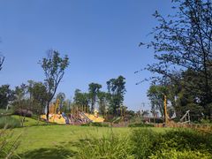 -铁山坪森林公园