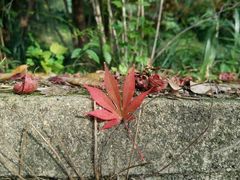 -雨花台烈士纪念馆