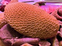 -阿娟牛肉丸·手打牛肉丸·现做现卖