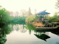 -西溪国家湿地公园