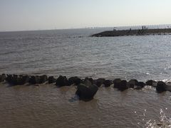 -南汇嘴观海公园