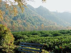 -中国茶叶博物馆(双峰馆区)