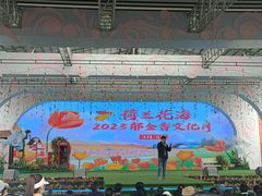 -荷兰花海
