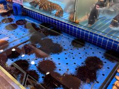 -鲜得莱渔港·小平岛海胆馆(七贤岭店)