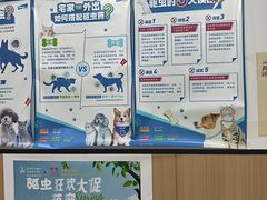 -米苏动物医院·犬猫专科·骨科外科内窥镜