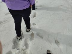 -大冬树山垭口