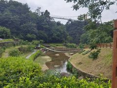 -梅岭月亮湾山体公园