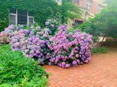 -大学路8号炸串(大学路十四号院店)