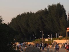 -宝安西湾红树林湿地公园