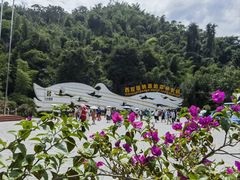 -西双版纳原始森林公园