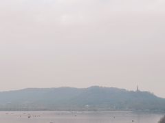 -杭州君悦酒店