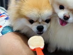 -DQ·蛋糕·冰淇淋(五角场万达店)