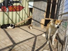 -清风小镇闯关东影视基地