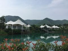 -帐篷客·溪龙茶谷度假酒店