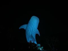 -珠海长隆海洋王国