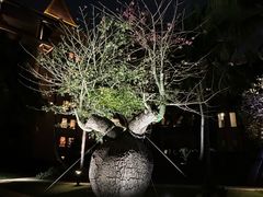 -海南清水湾莱佛士酒店