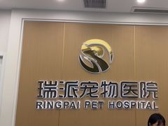 -瑞派康怡24h宠物医院·犬猫医疗中心·微创绝育(瑞景分院)
