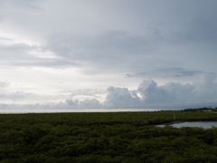 -北海金海湾红树林生态旅游区