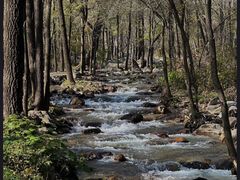 -玉渡山自然风景区