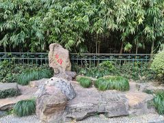 -杭州黄龙洞