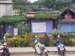 -Jungle Kitchen