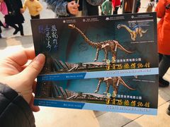 -自贡恐龙博物馆