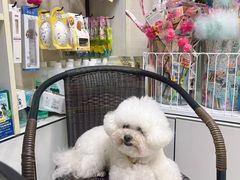 -八公叔叔宠物美容连锁(春申店)