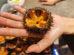 -贵木日本料理·铁板烧(新地假日广场店)