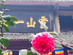 -峨眉山报国寺