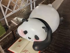 -轩客会(熊猫书店)