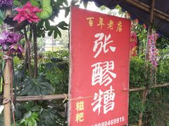 -张醪糟