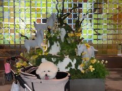 -北京康莱德酒店