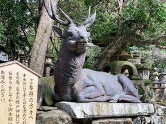 -奈良公园