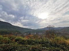 -塔川景区